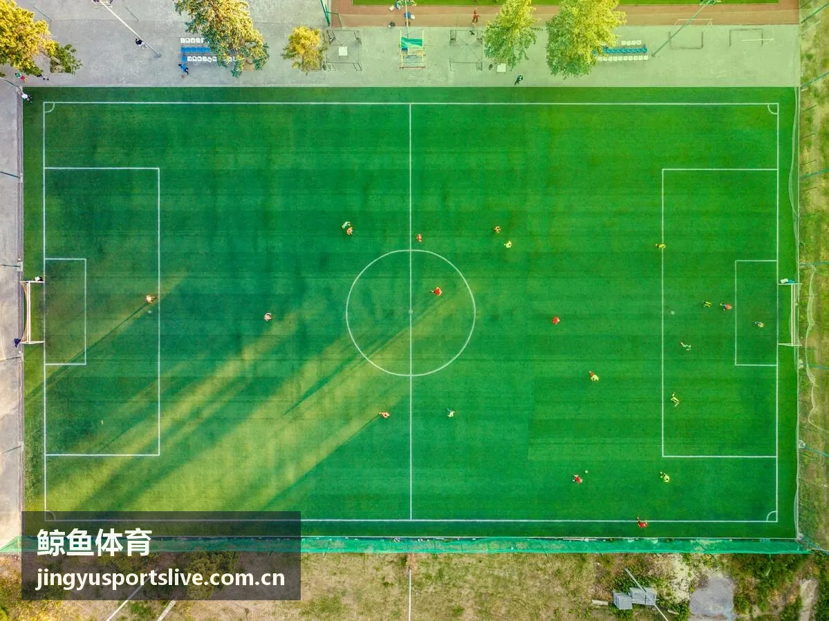 鲸鱼体育综合体育直播技术解析相关文章缩略图